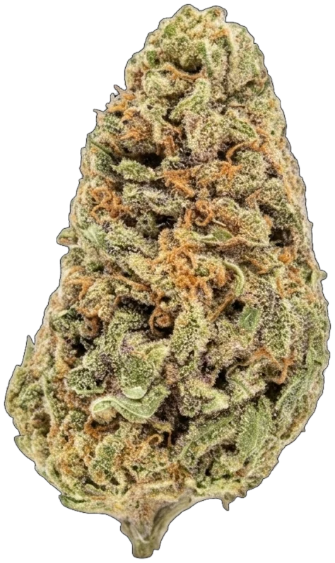 AK47