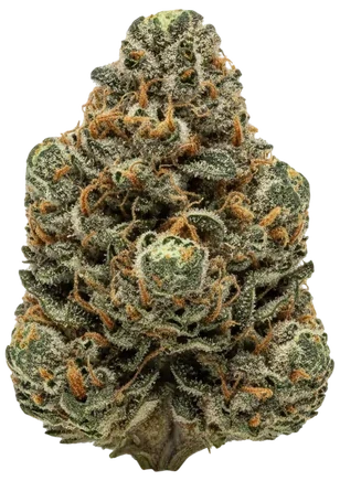 Mango Haze