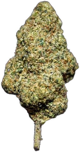 Cookie Mandarine — mandarine et fond cookie